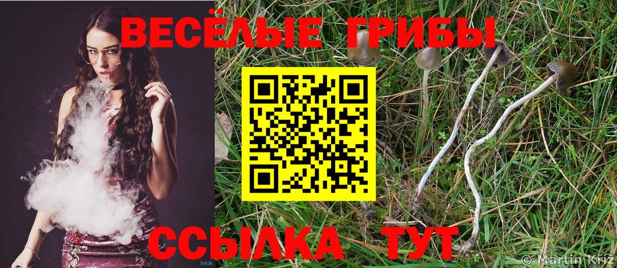 Галлюциногенные грибы прущие грибы Улан-Удэ